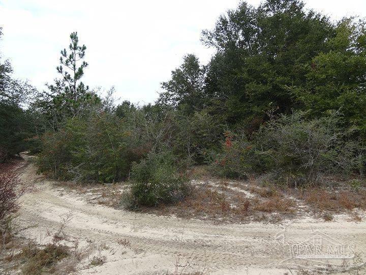 Property Photo:  0 Hwy 87  FL 32570 