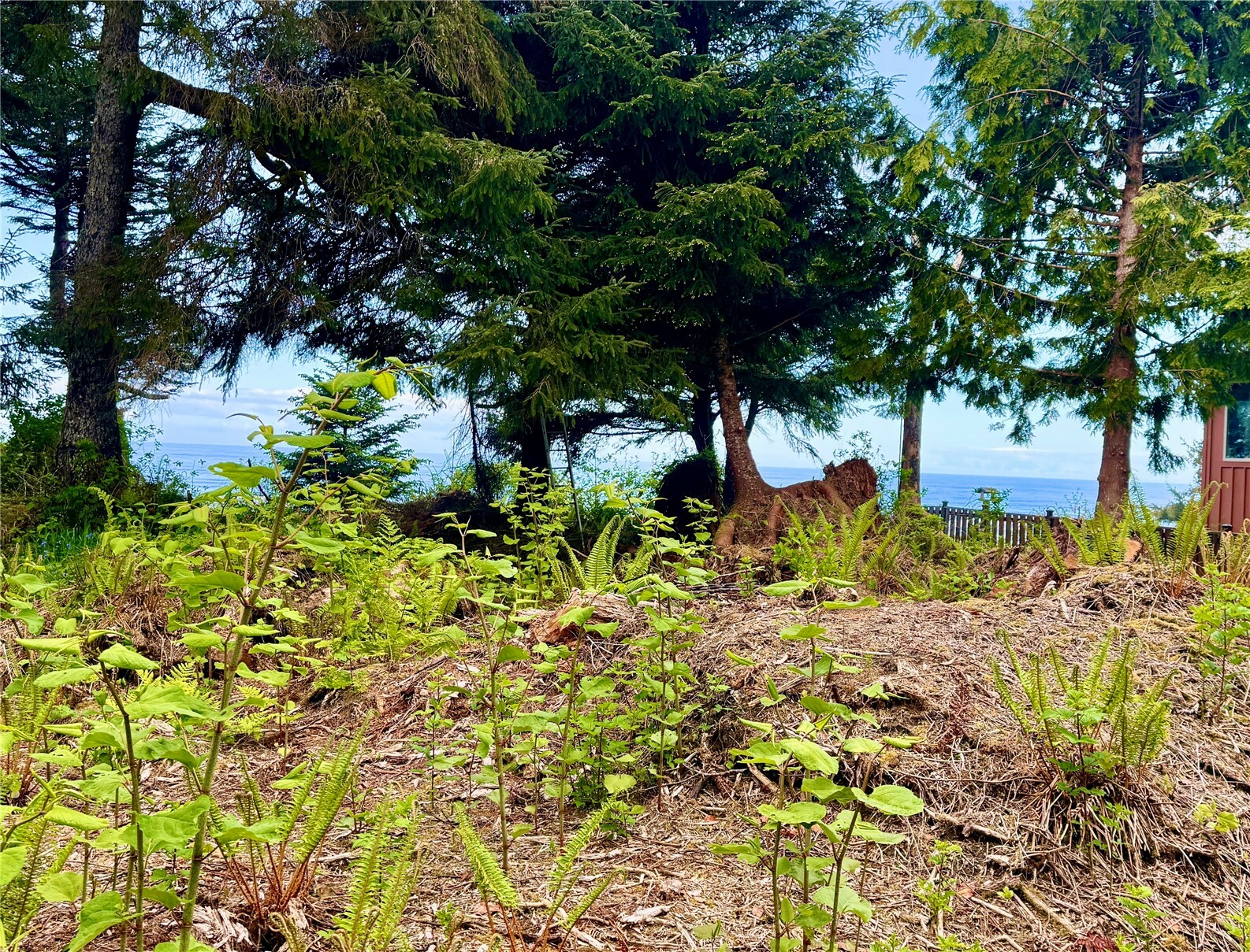 Property Photo: 4653 SR 109 WA 98562