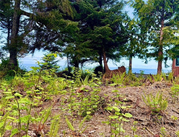 Property Photo:  4653  State Route 109  WA 98562 