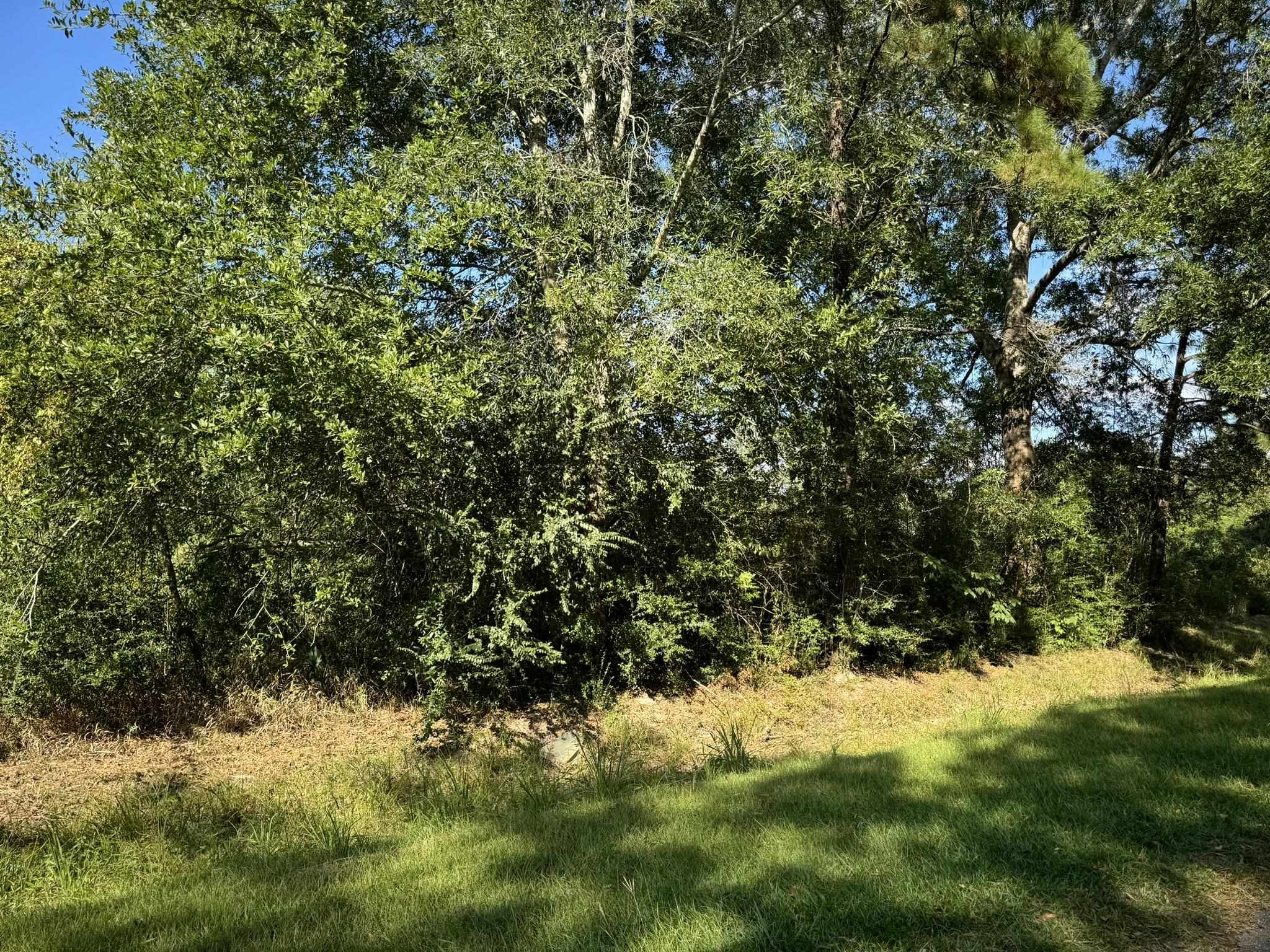 Property Photo:  Lot 74 Pine Park Blvd  TX 77632 