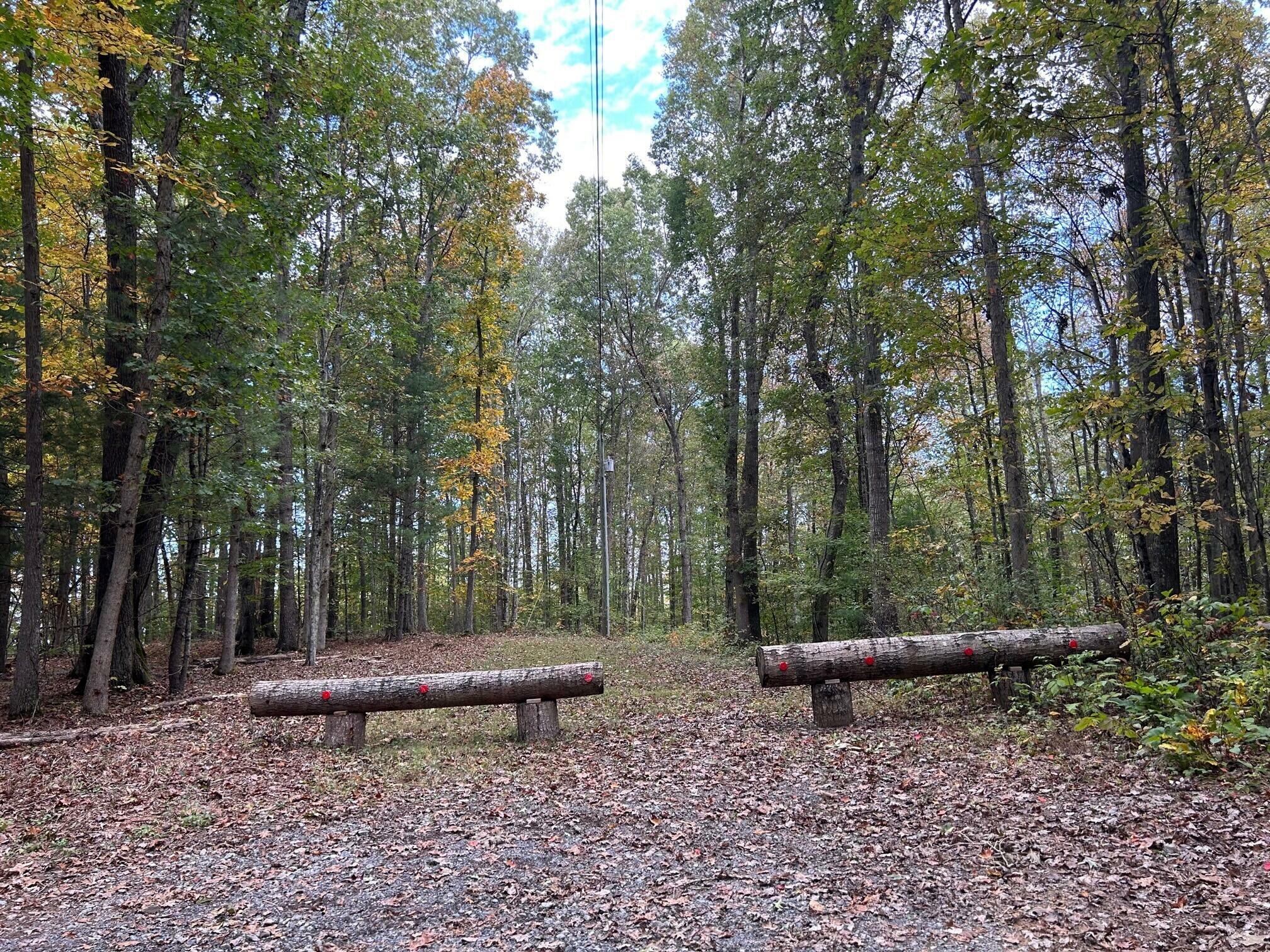 Property Photo:  Lot 3 871 Fleshman Dr  WV 24938 