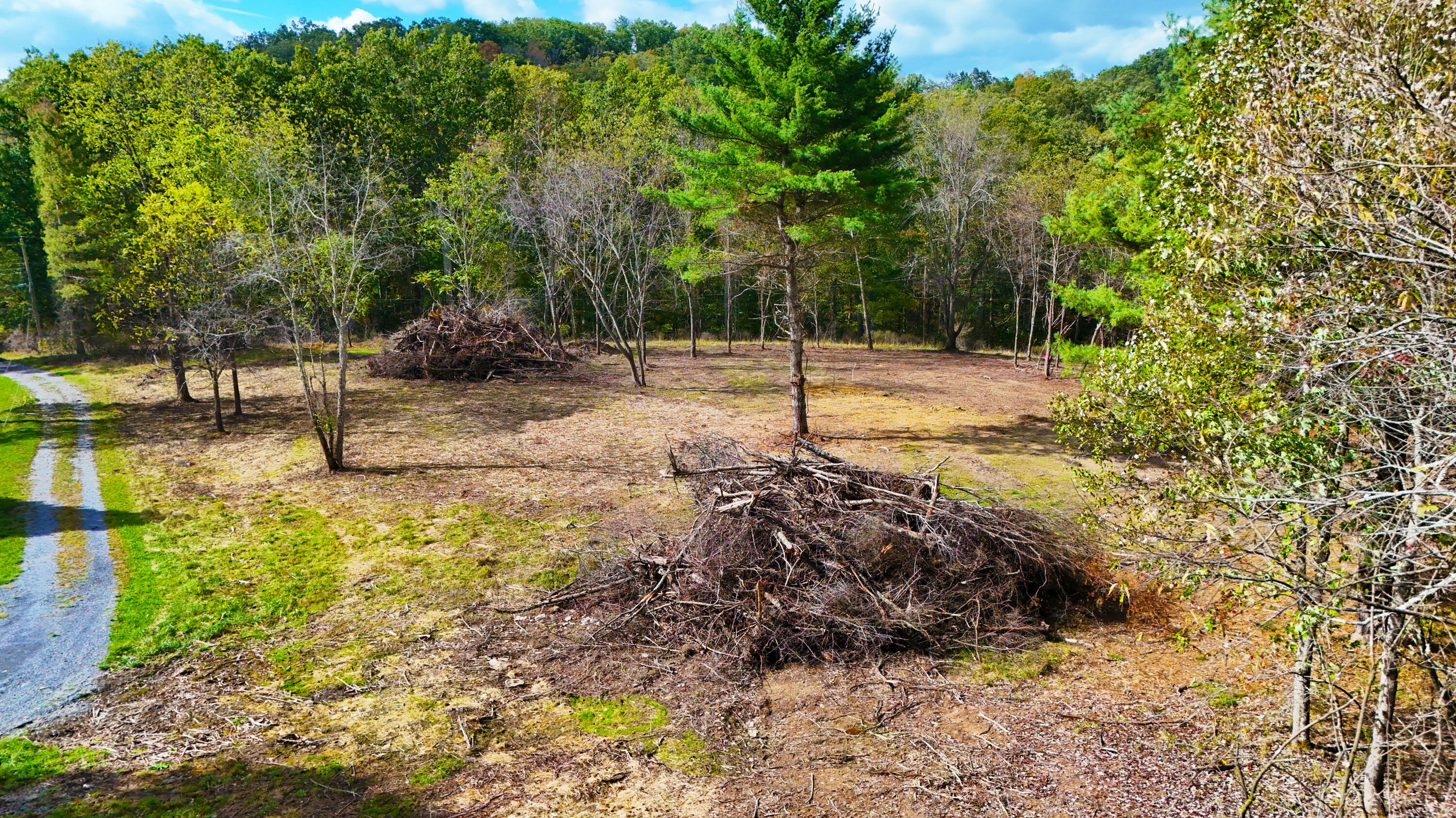 Property Photo:  Price Run Rd  WV 24901 