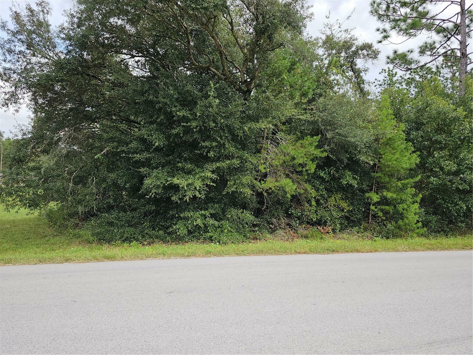 Property Photo:  00 SW 129 Terrace Road  FL 34432 