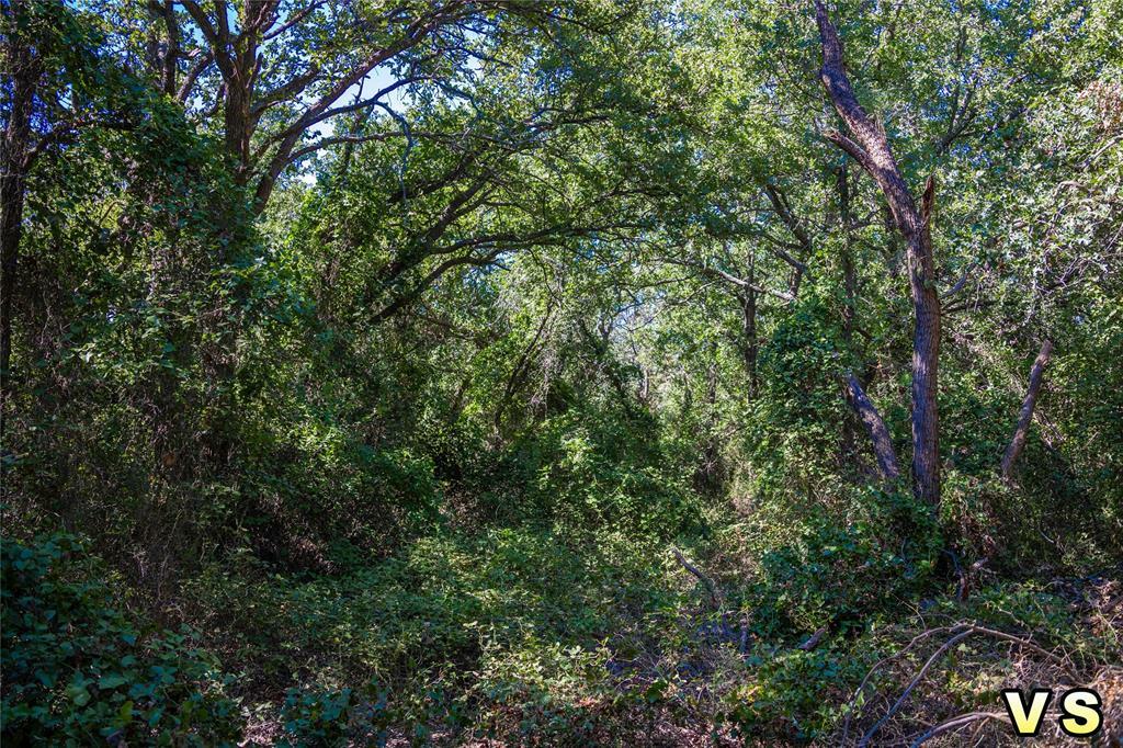 Property Photo:  Lot 6 County Road 489  TX 76857 