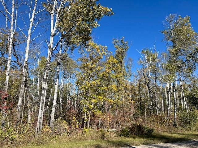 Property Photo: 1 Ironwood Point Road MB R0E 0E0