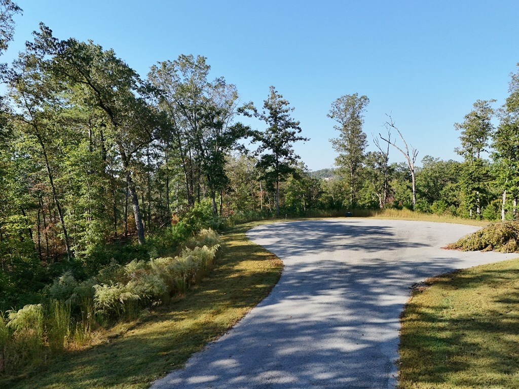 Property Photo:  Lot 54 High River Landing  GA 30540 