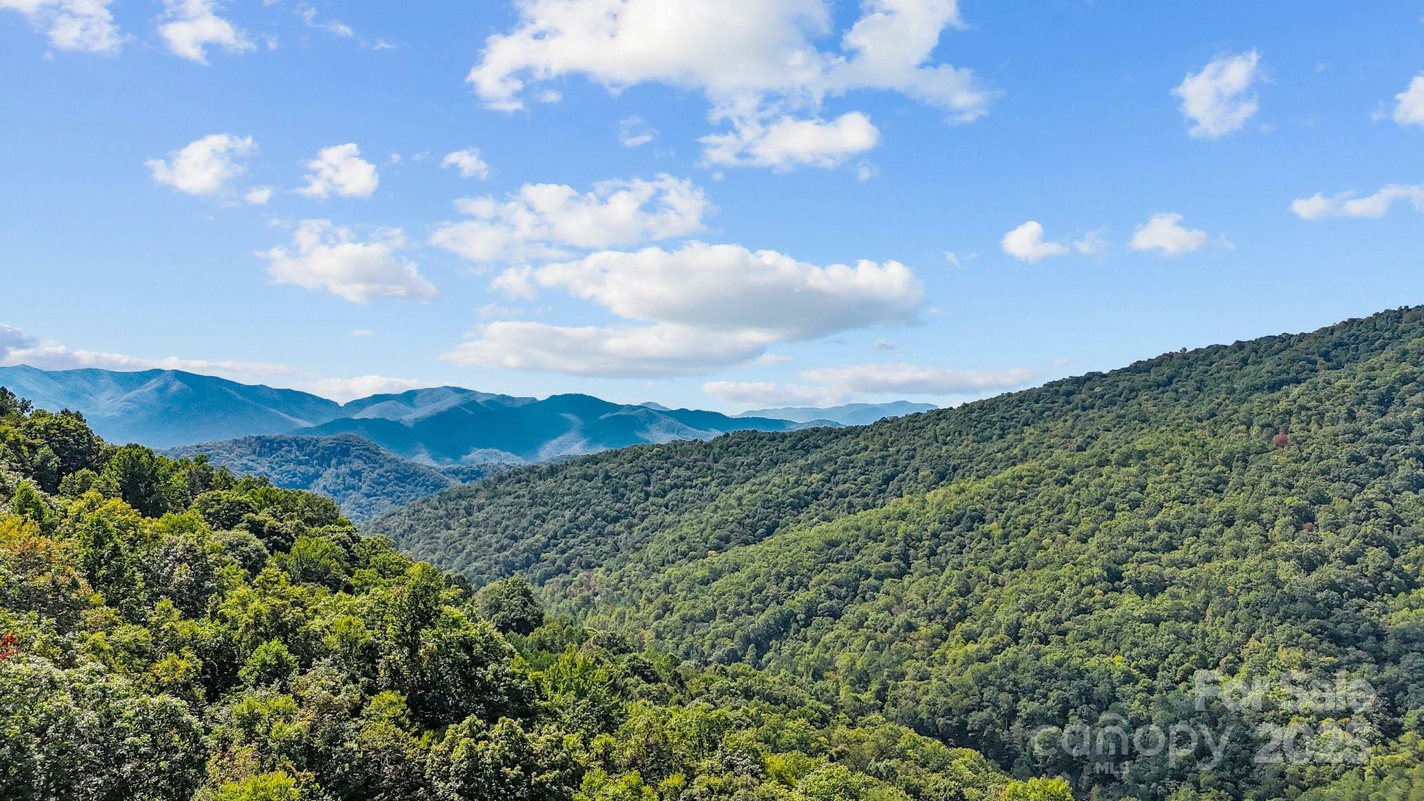 Property Photo: 0 Brush Creek Mountain Road 41 NC 28713