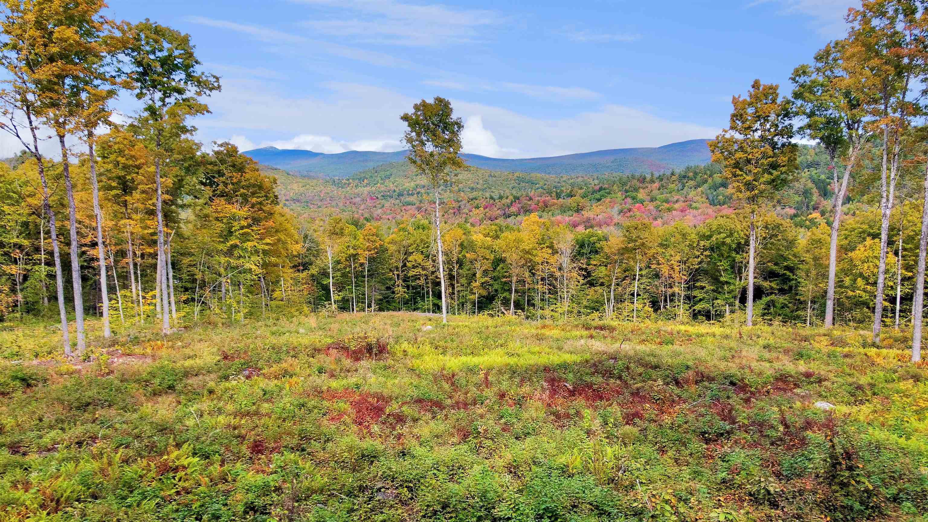 Property Photo:  0 Danbury Woods Road  NH 03230 