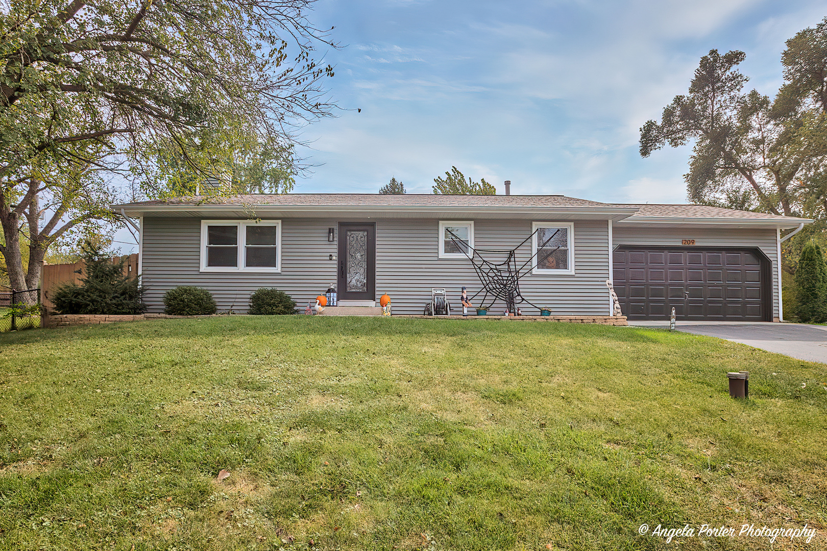 Property Photo:  209 Cass Street  IL 60081 