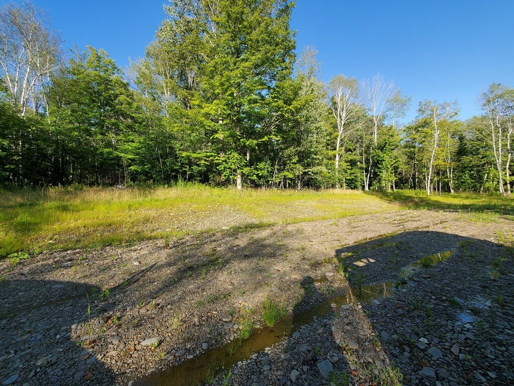 Property Photo:  0 Griffin Road  NY 14821 