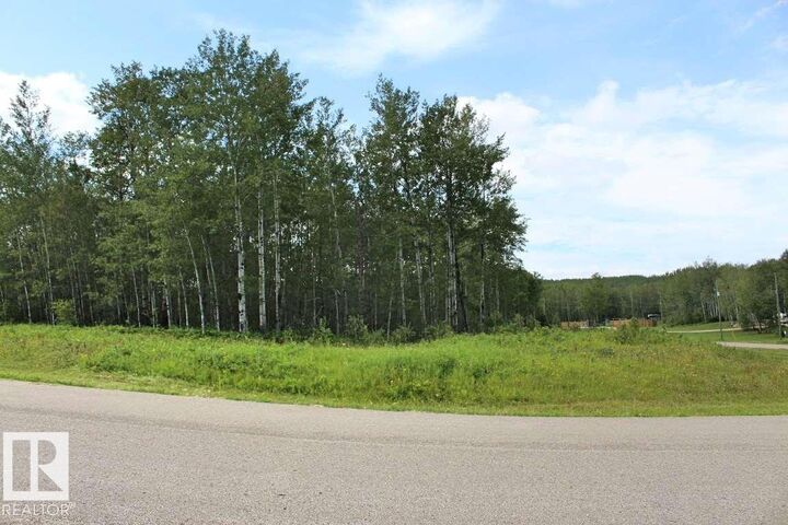 39 62331 Rge Rd 411A — photo 1