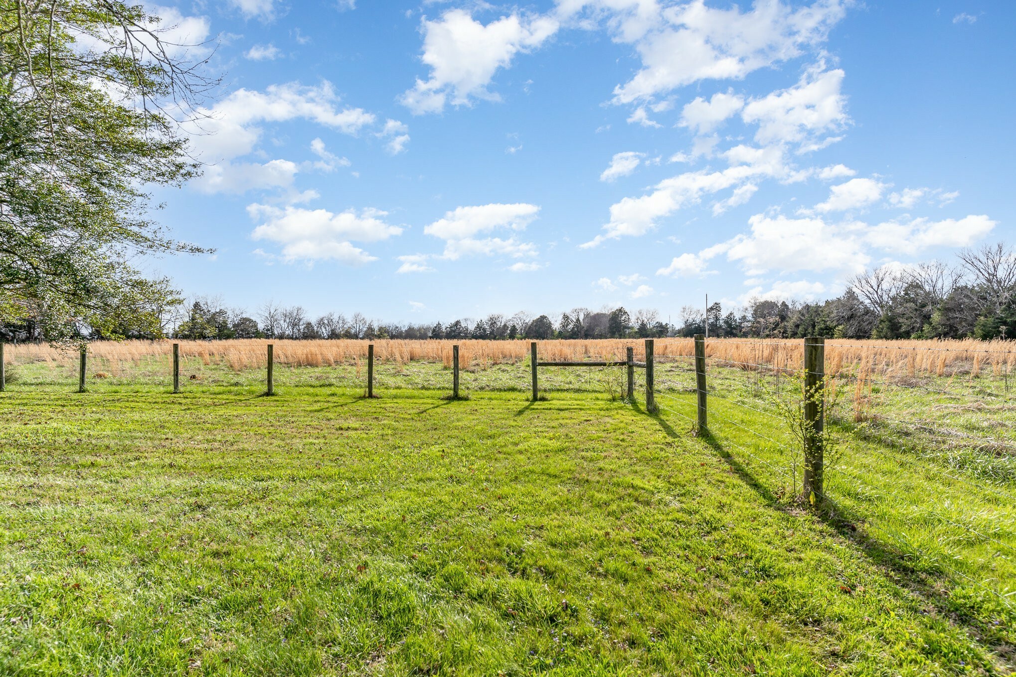 Property Photo: 2159 Verona Caney Rd TN 37091
