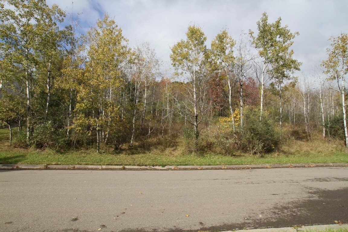 Property Photo:  1216  Lot 62 Domenica Drive  NY 13760 