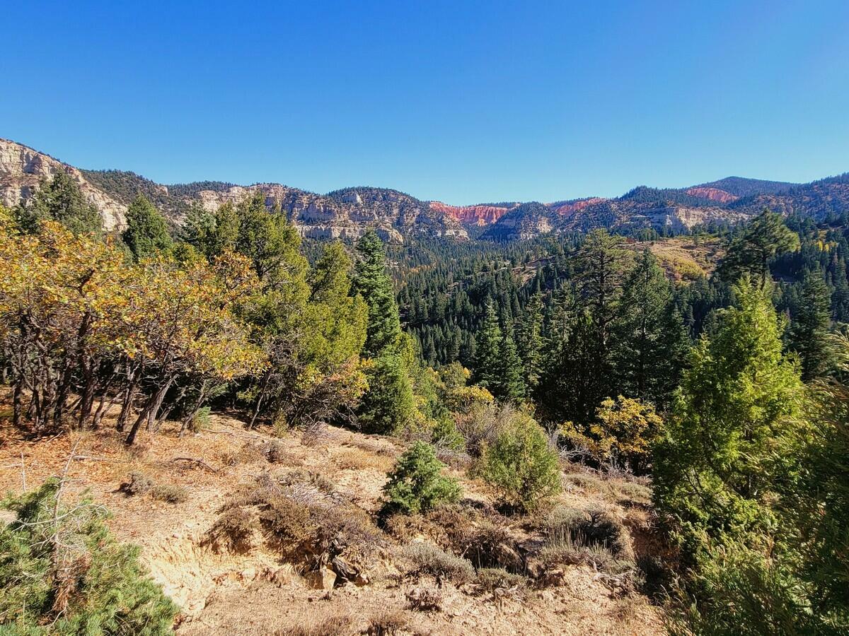 Property Photo:  Lot 18 White Sands Loop  UT 84762 