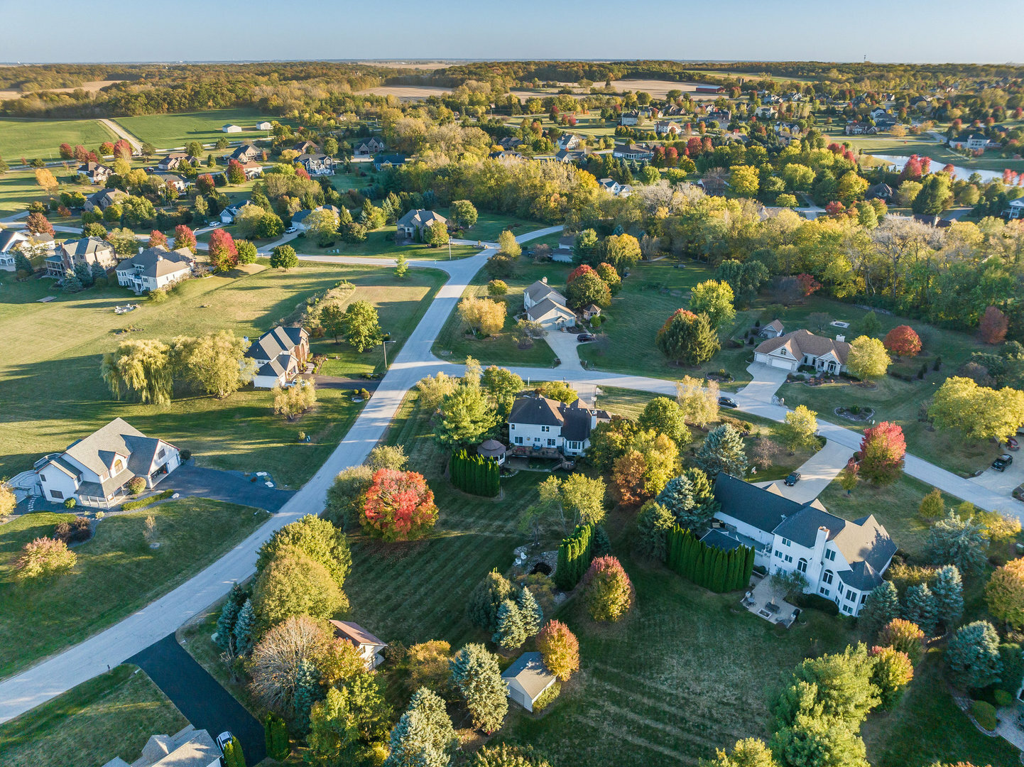 Property Photo:  315 Farm Court  IL 60560 