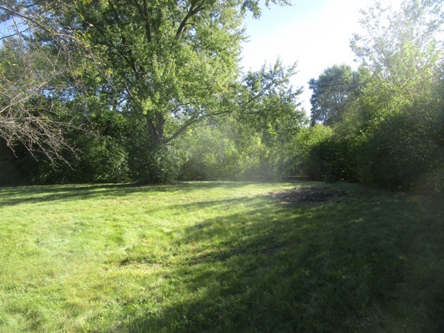 Property Photo:  185 Cold Spring Road  IL 60010 