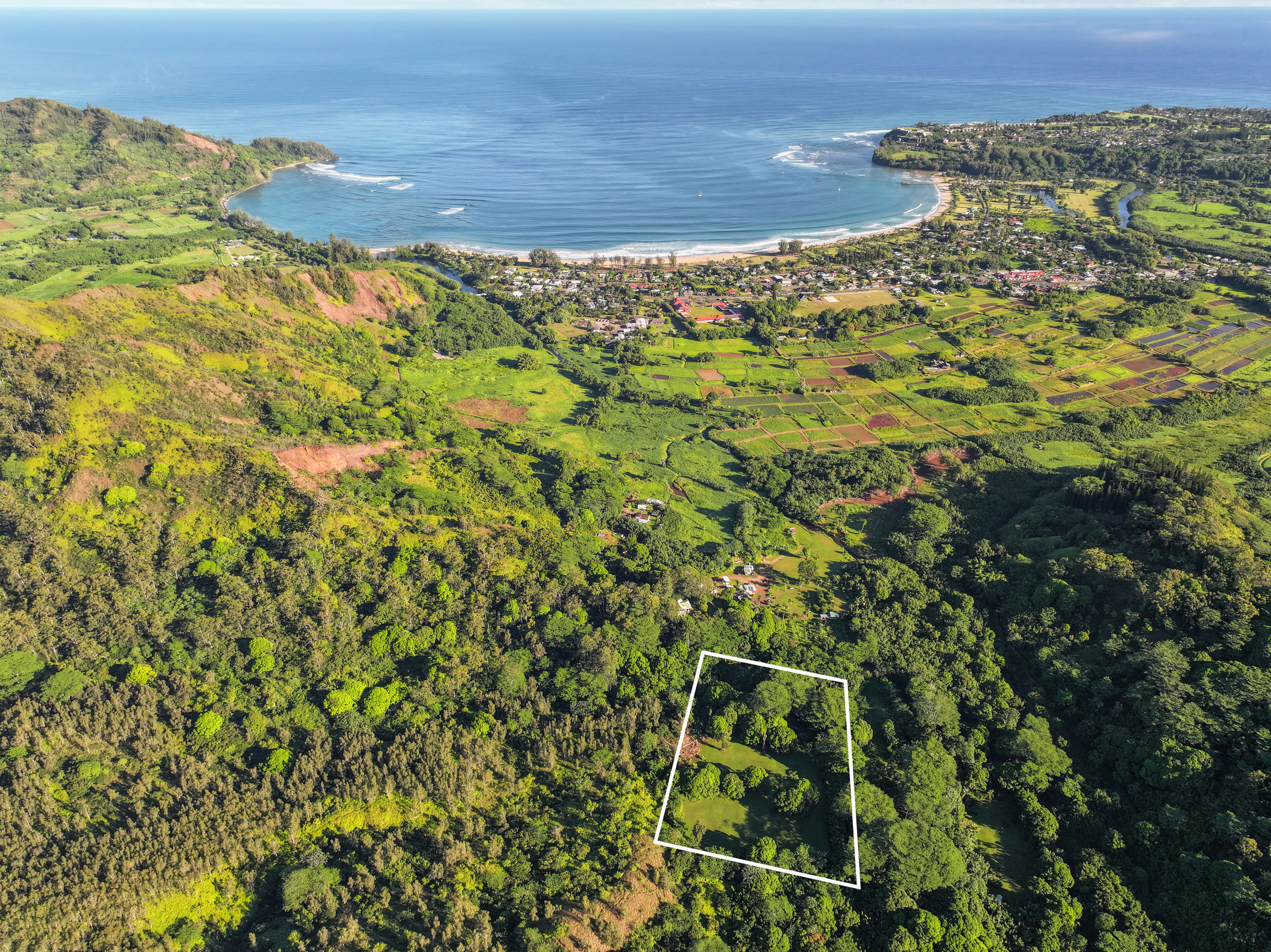 Kuhio Hwy  Hanalei HI 96714 photo