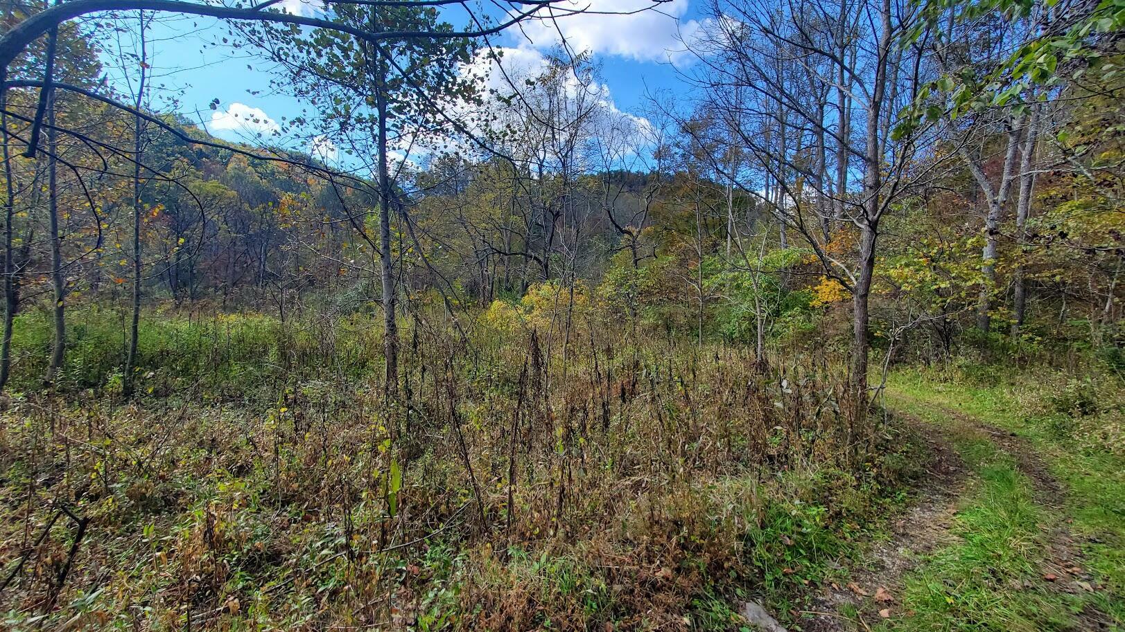9999999 Highway 3446  McKee KY 40447 photo