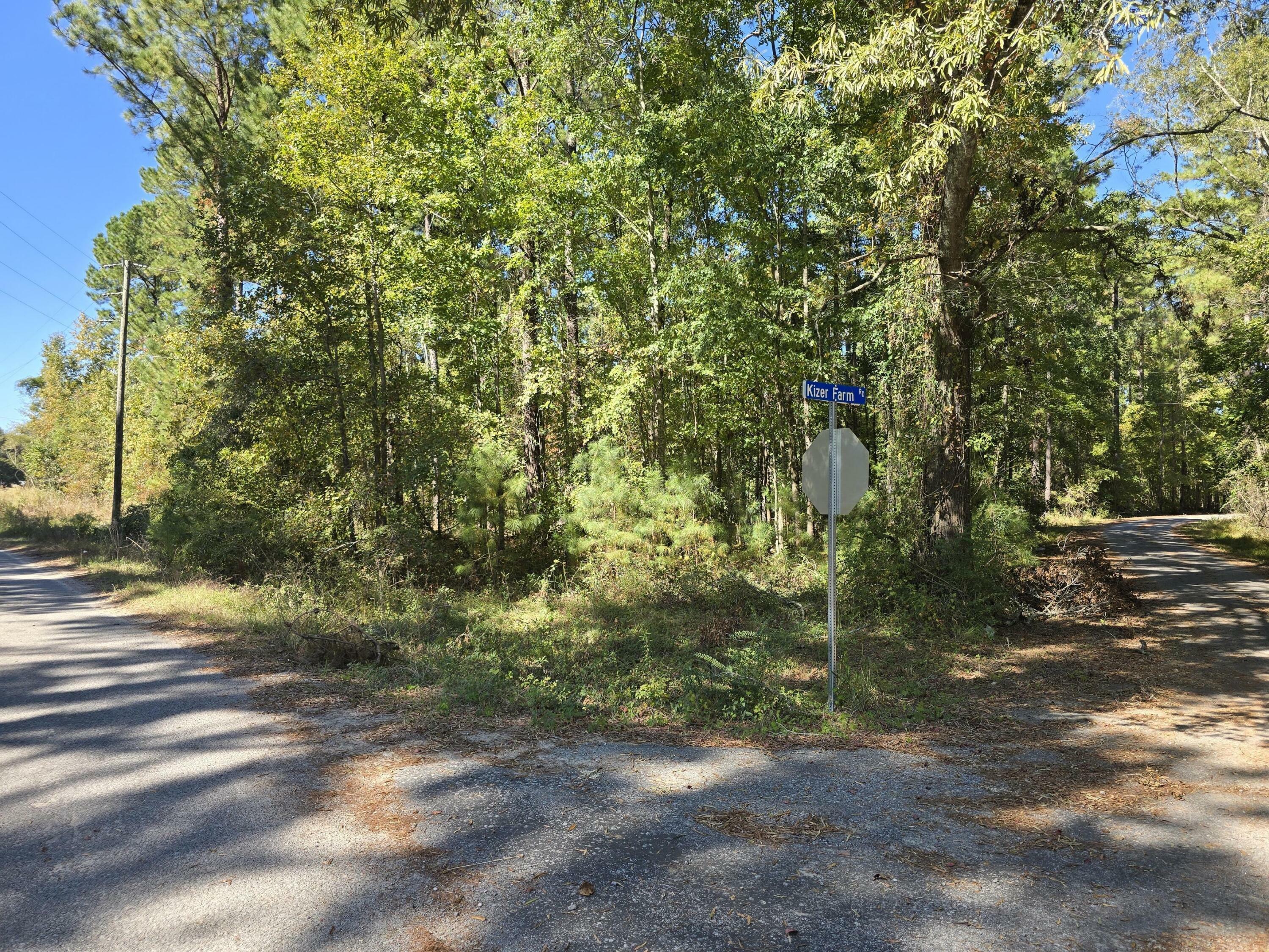 Property Photo:  0 Deep Woods Road  SC 29477 