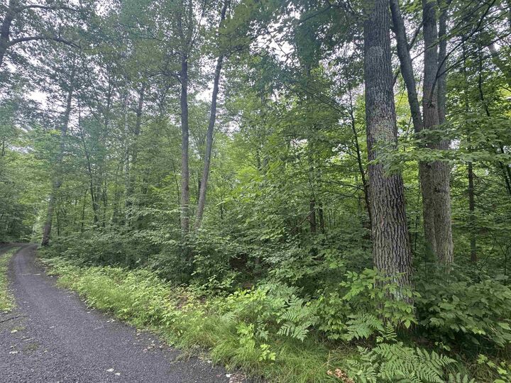 Property Photo: Lot 17 &Amp 18 Sleepy Fawn Ln WI 54847
