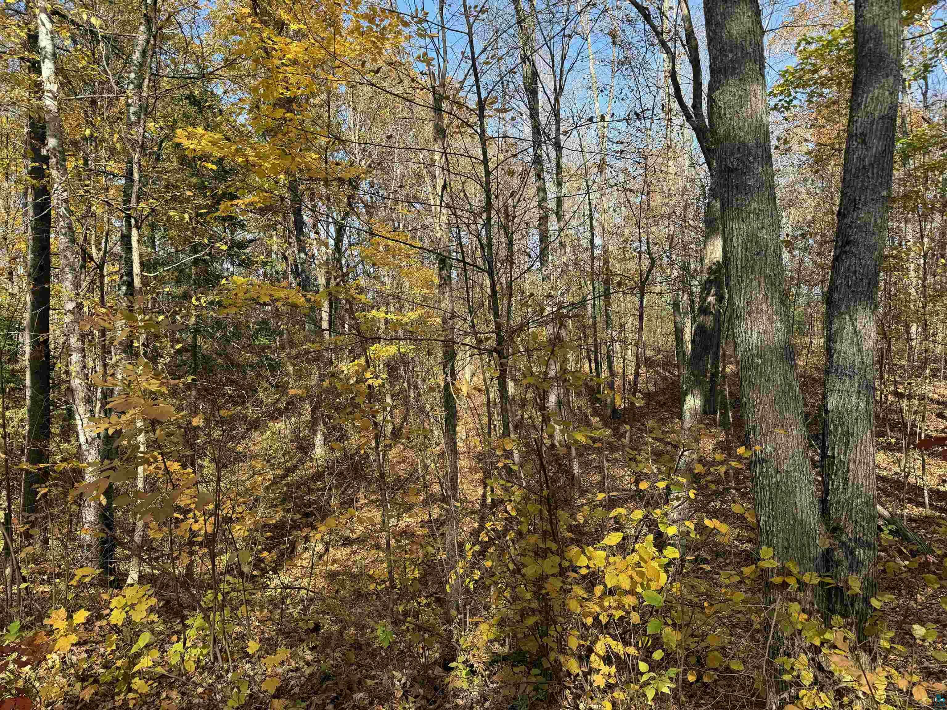 Property Photo:  Lot 17 &Amp 18 Sleepy Fawn Ln Deer Trail Condos  WI 54847 