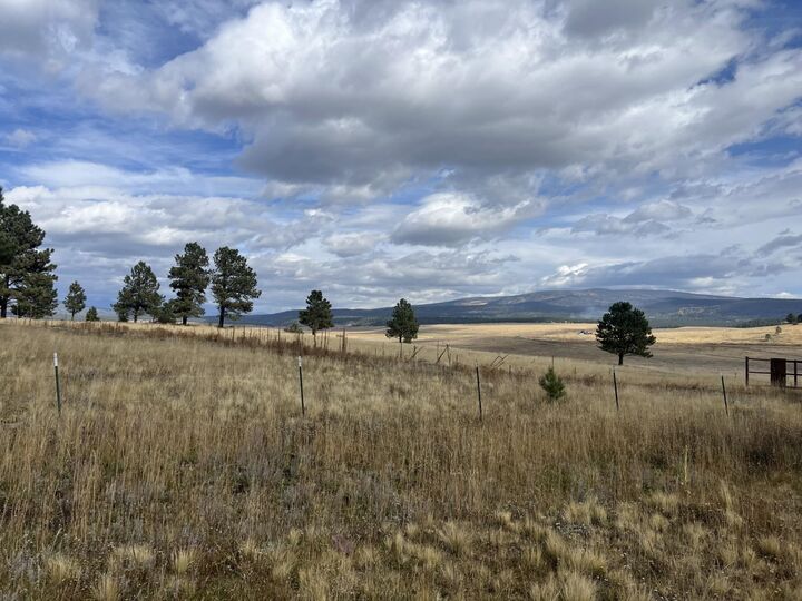 Property Photo:  14 Acres Shields Area  NM 87710 
