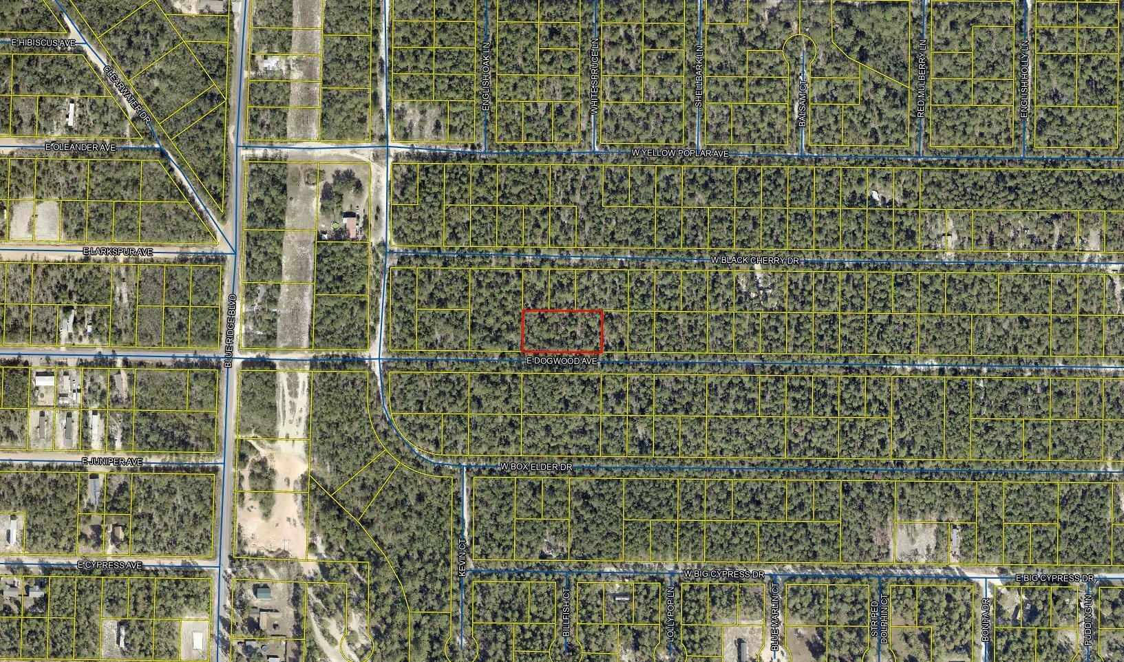 Property Photo:  .69 Adre E Dogwood East Avenue  FL 32433 