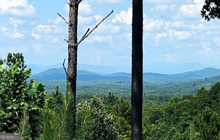 Property Photo: Lot 251 Ridge Pointe Way GA 30512