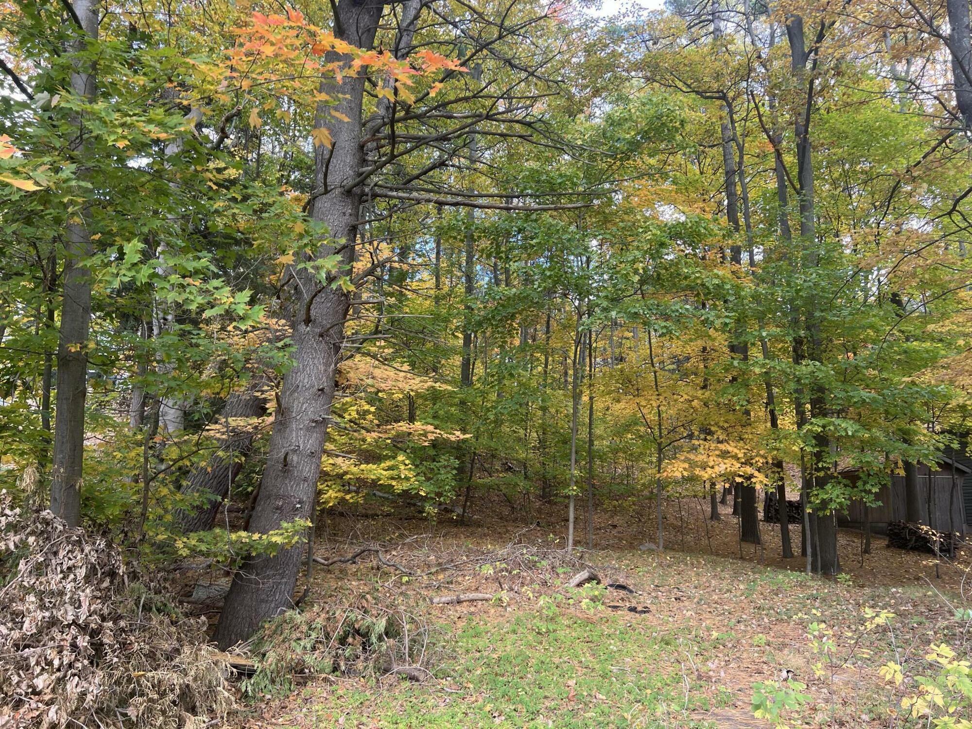 Property Photo: V/L W Beverly MI 49455