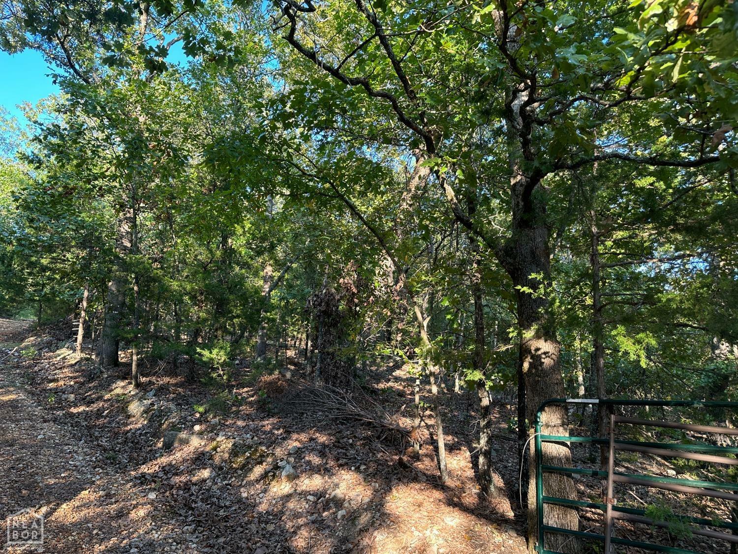 Property Photo:  166 Water Tower Road  AR 72619 