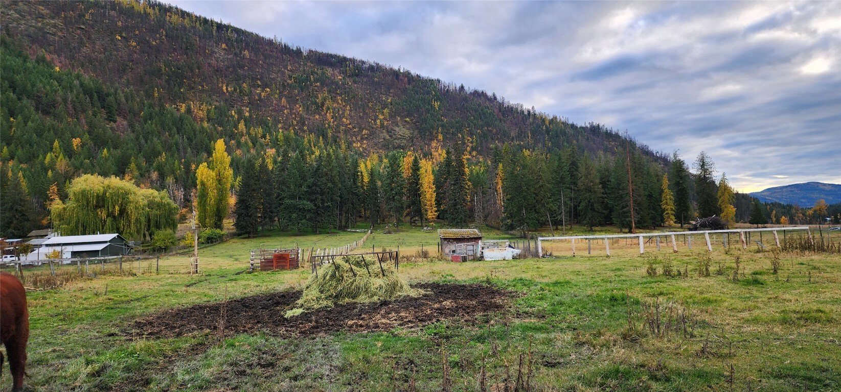 Property Photo:  467 Rawlings Lake Road  BC V0E 2G5 