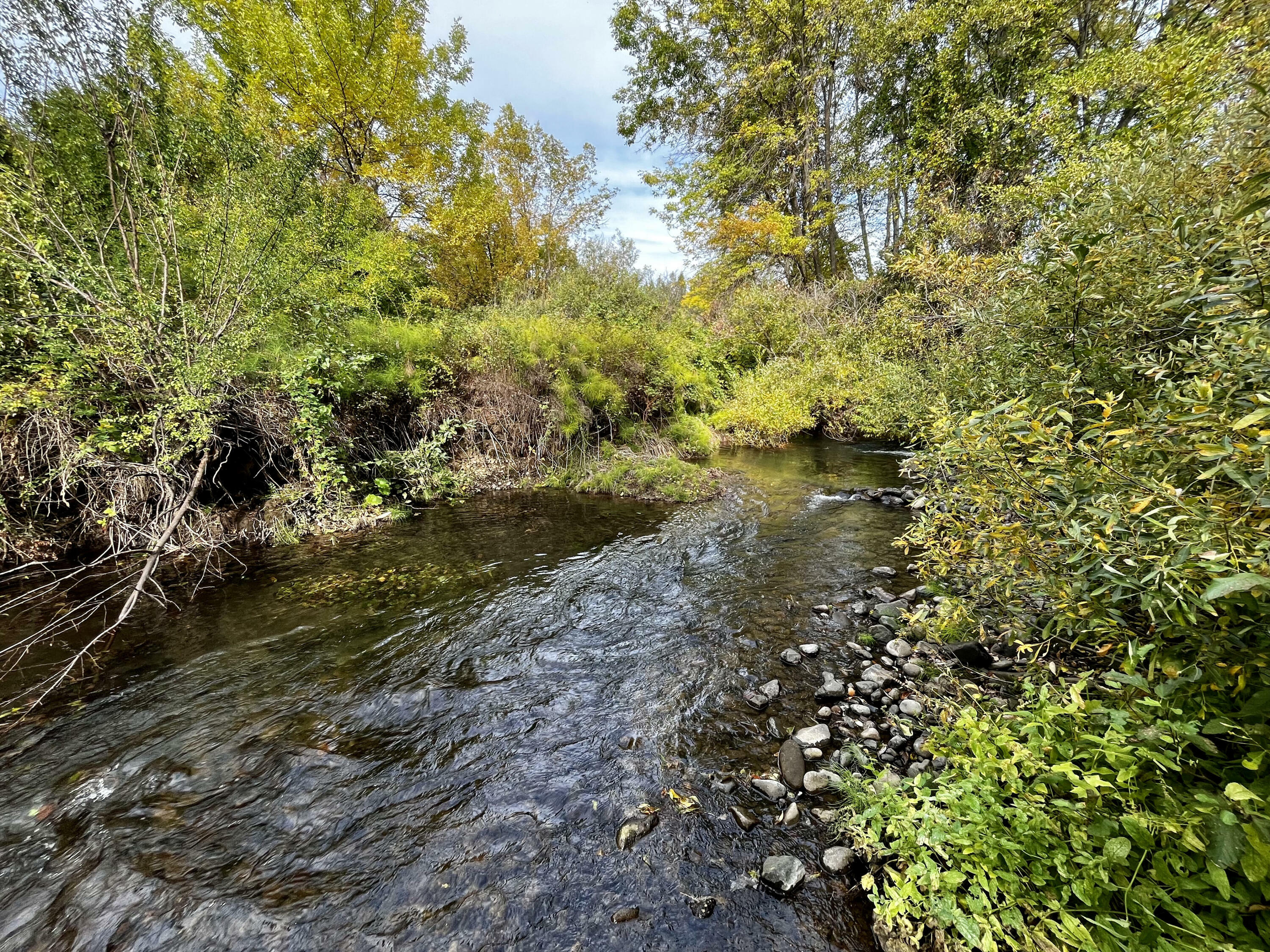 Property Photo:  19120 Meadow Creek Lane  CA 96065 