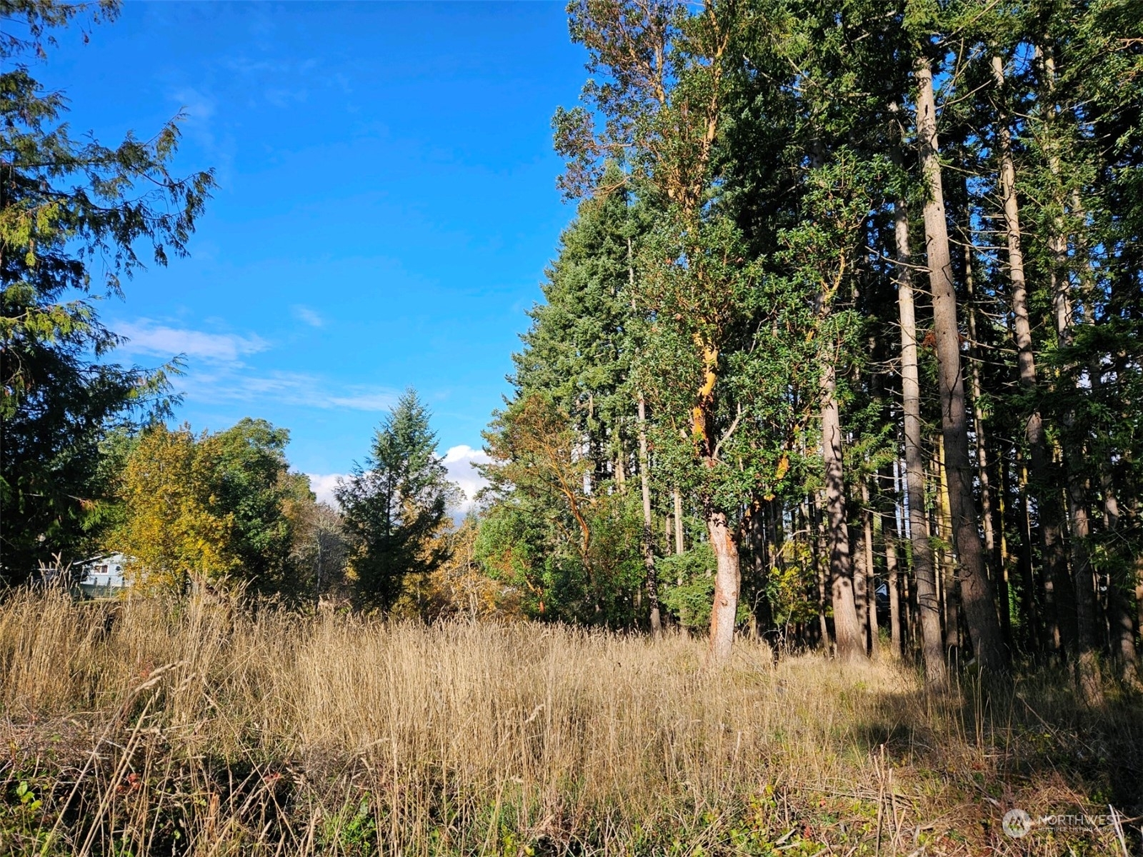 Property Photo:  0  Lot 2 West 8th Street  WA 98363 