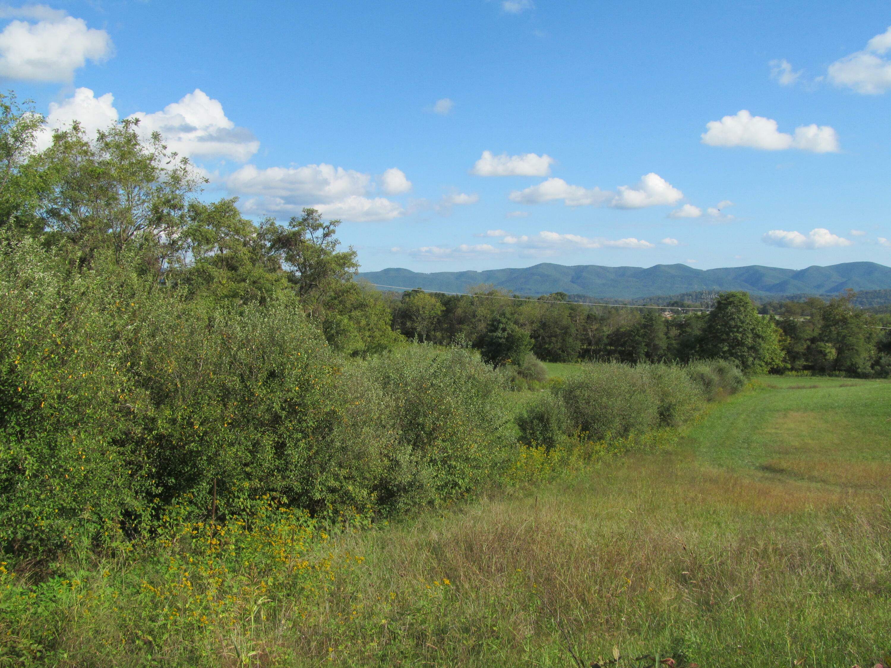 Property Photo:  0 Goad Rd  VA 24090 