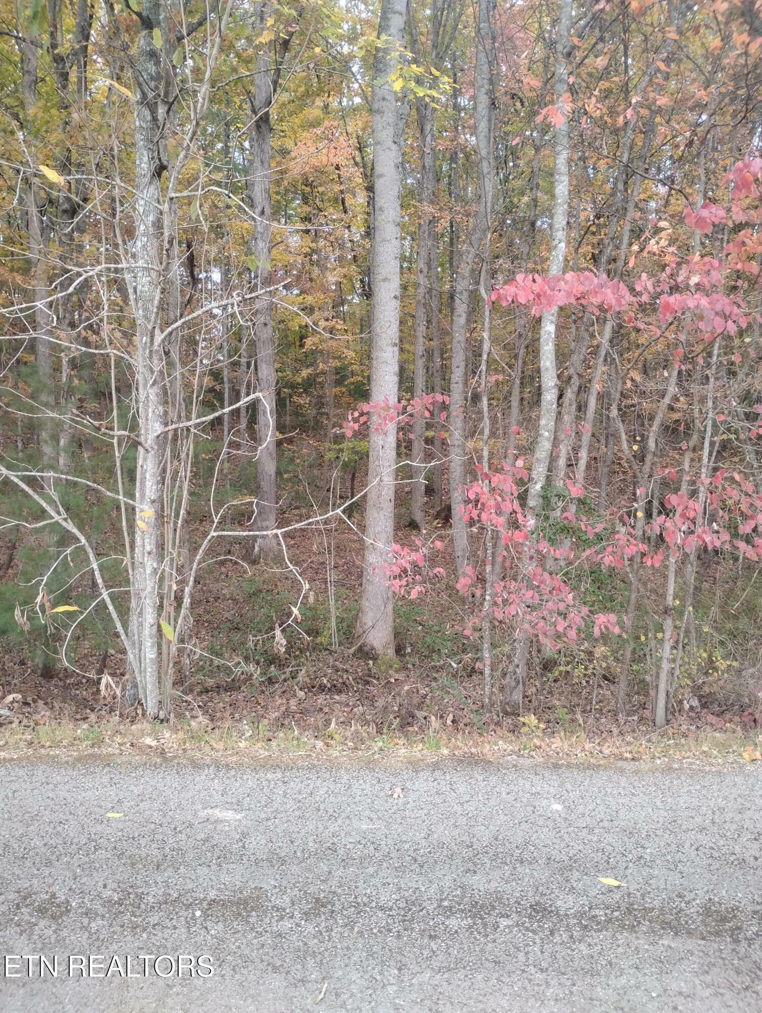 Property Photo:  Rocky Top Rd  TN 37841 