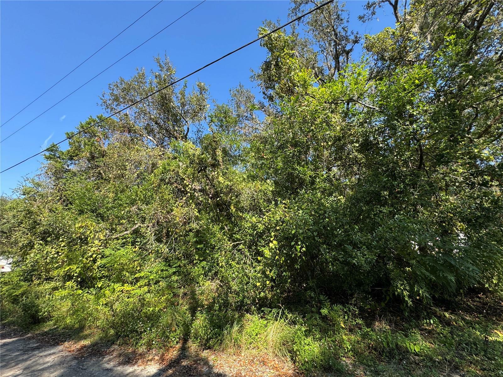 Property Photo:  10100 Poplar Street  FL 34654 