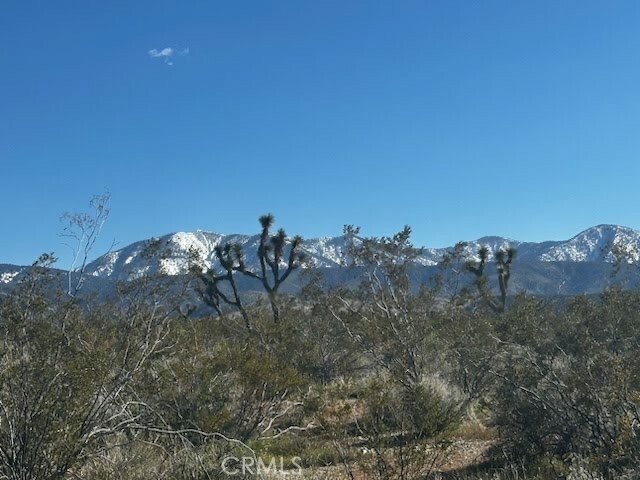 4 X Largo Vista Road  Llano CA 93544 photo