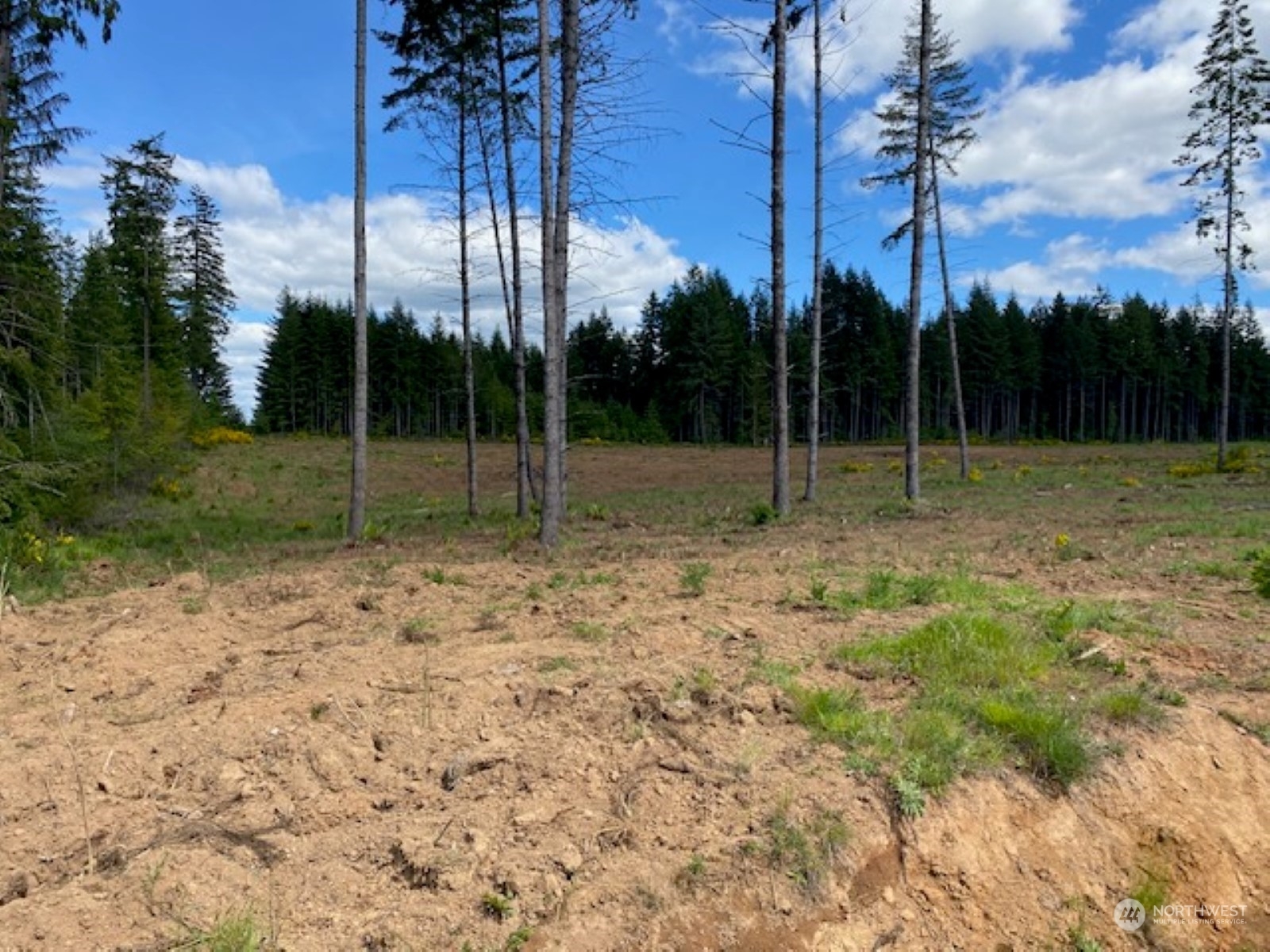 Property Photo: 132 Nando Lane WA 98532