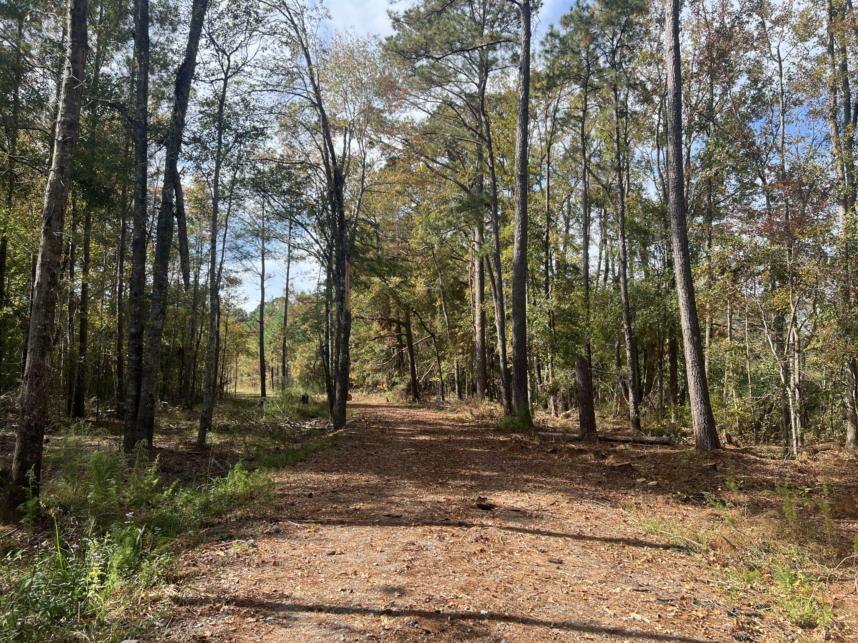 Property Photo:  0 Independent School Road  SC 29471 