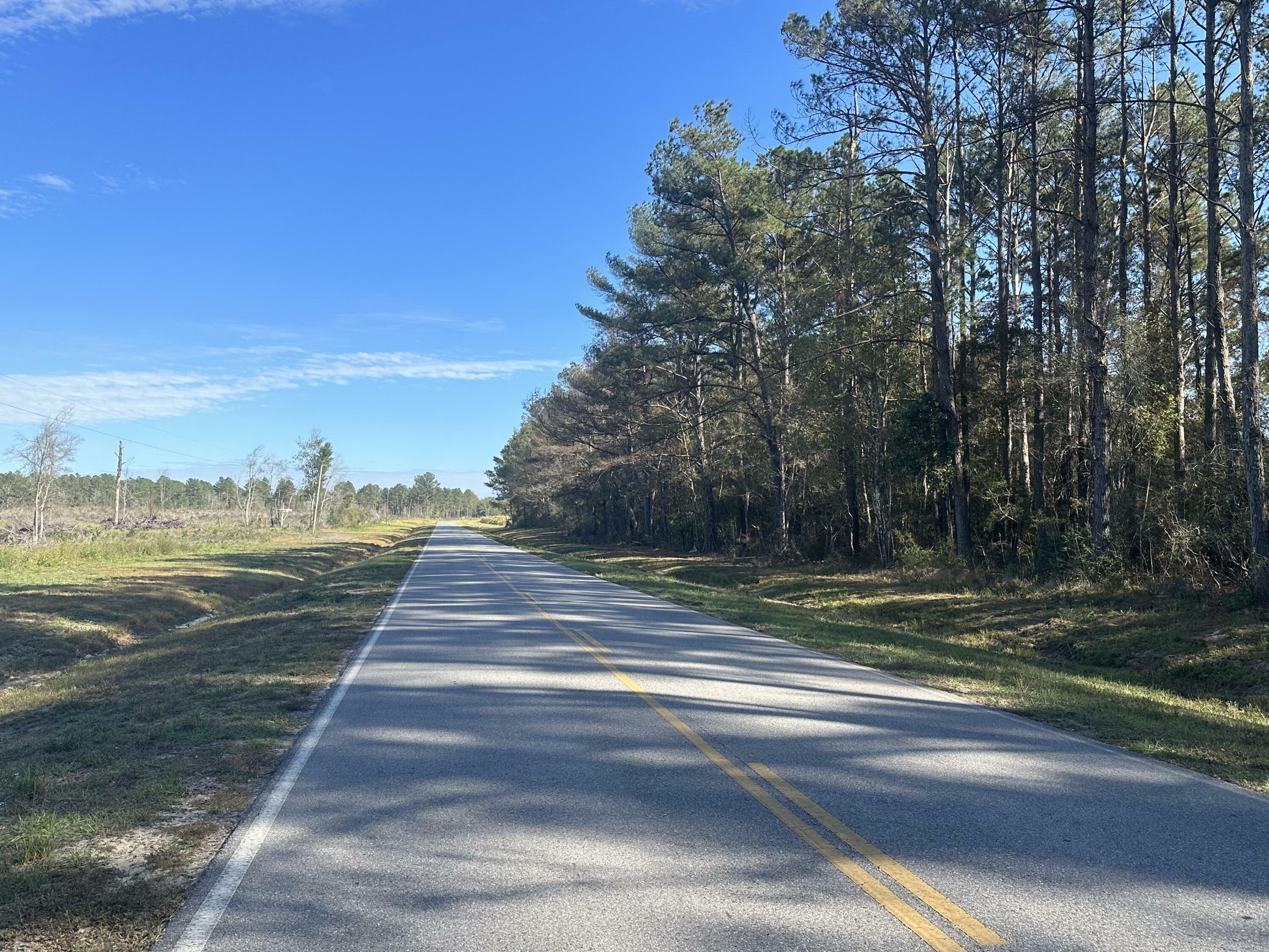 Property Photo:  Tract#6201 W County Highway 181 South -04  FL 32433 