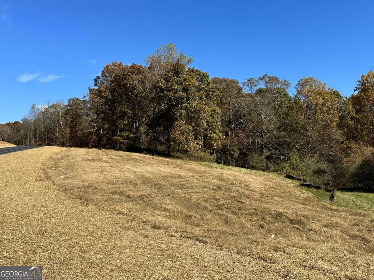 Property Photo:  Lt 16 Clear Creek Preserve Way  GA 30536 