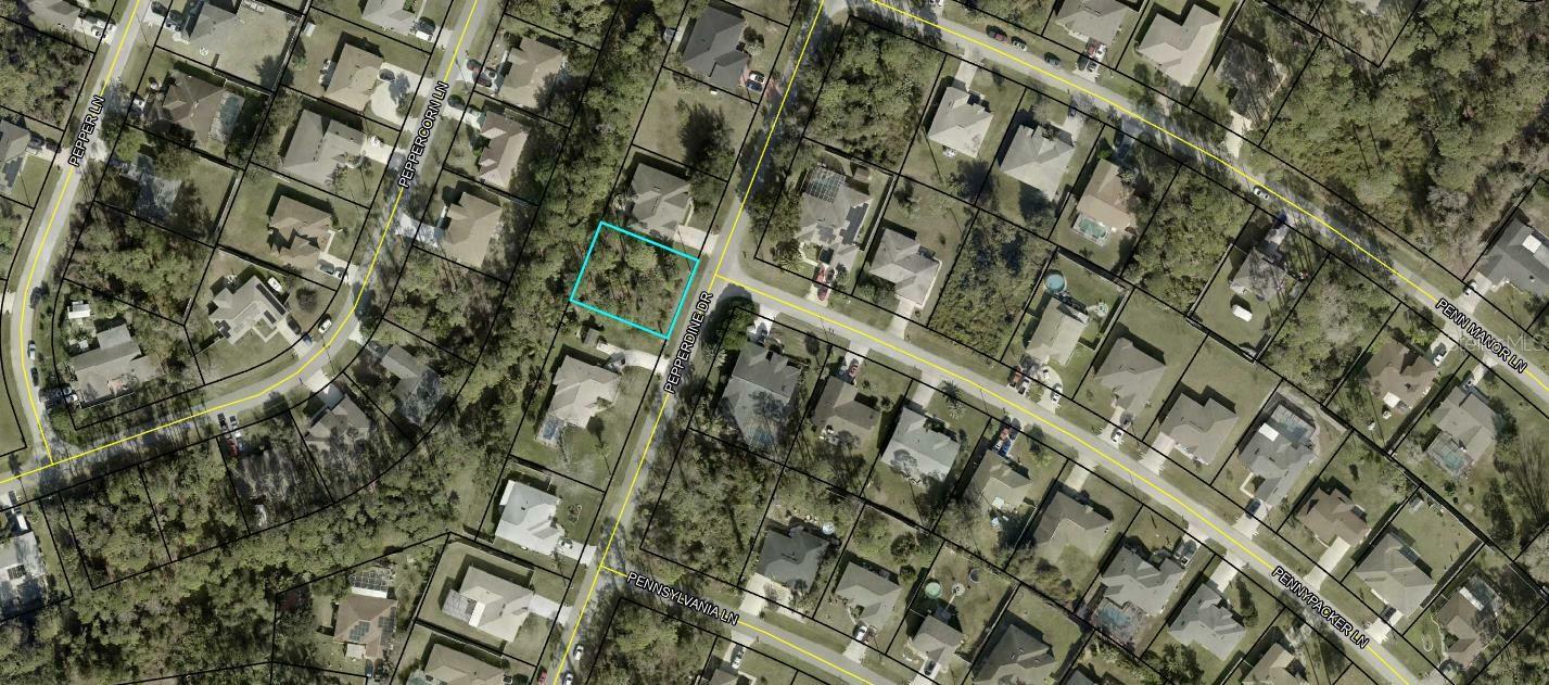 Property Photo:  152 Pepperdine Drive  FL 32164 