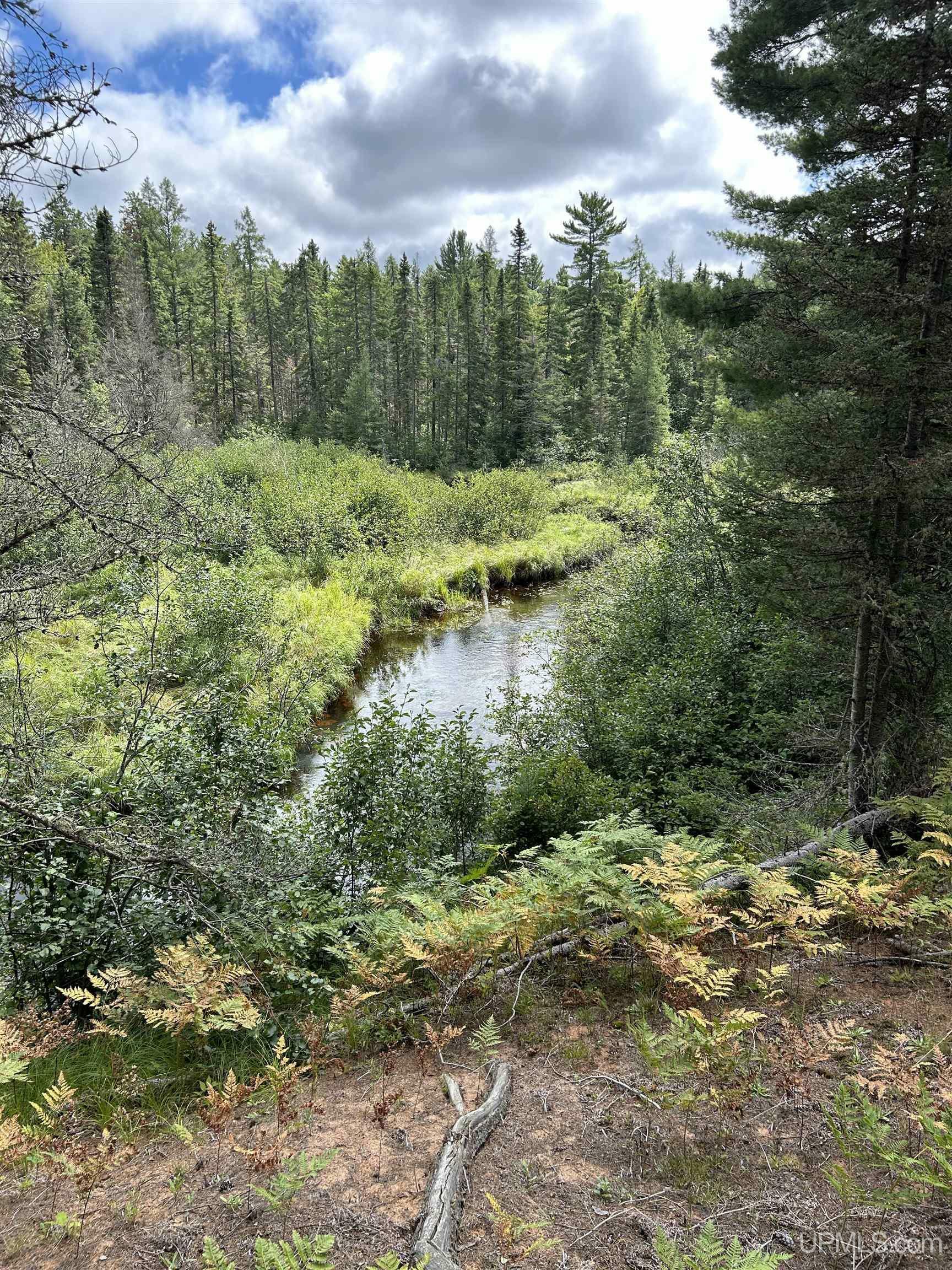 Property Photo: 2662 Acres Marquette County MI 49849