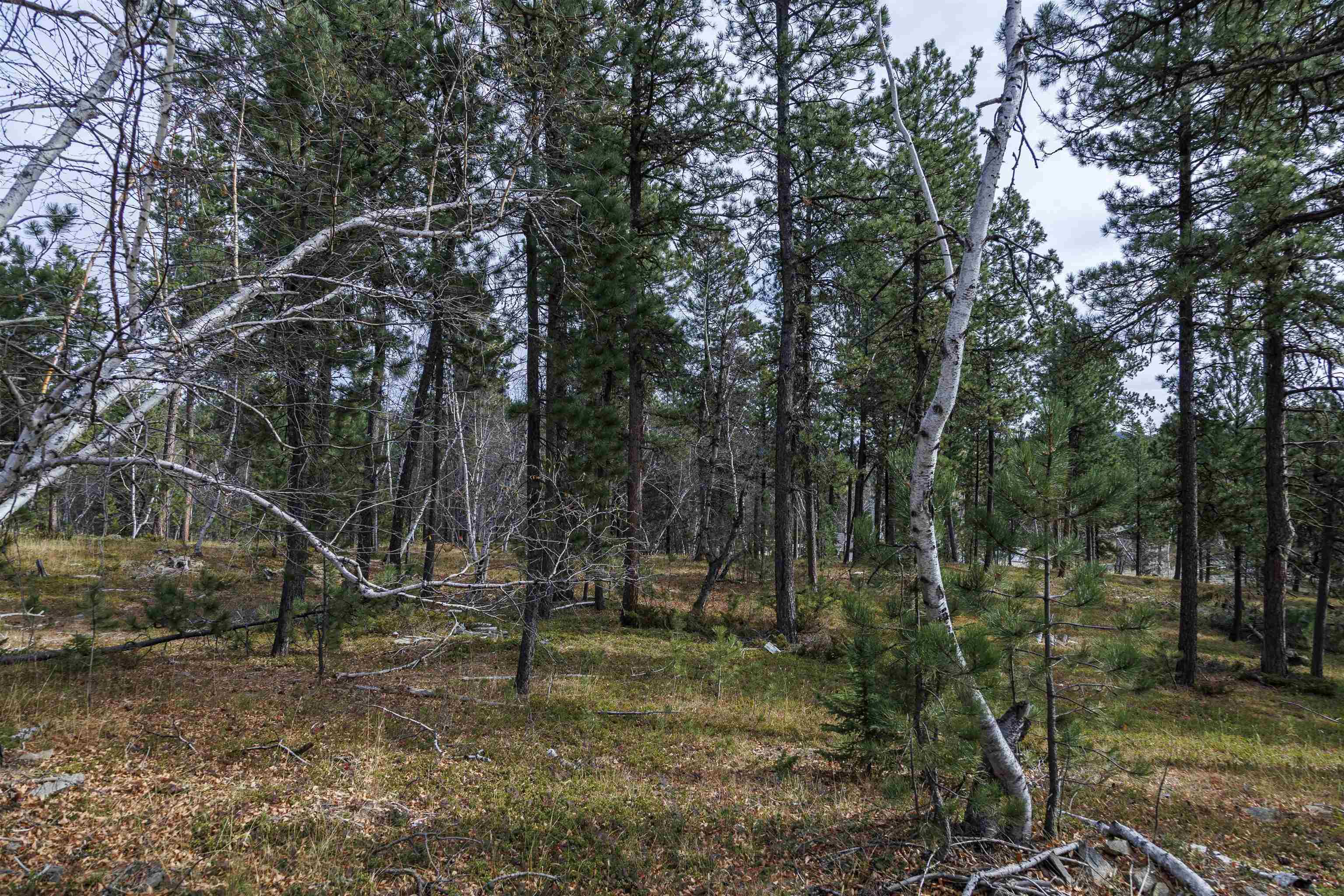 Property Photo:  Lot 4 Blk 8 Autumn Lane  SD 57754 