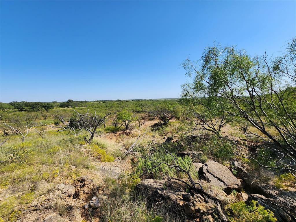 Property Photo:  Tbd Cr 445  TX 76443 