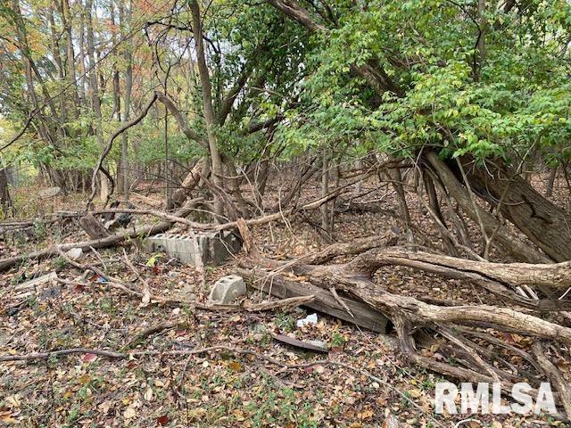 Property Photo: 000 Barnett Avenue IL 62918