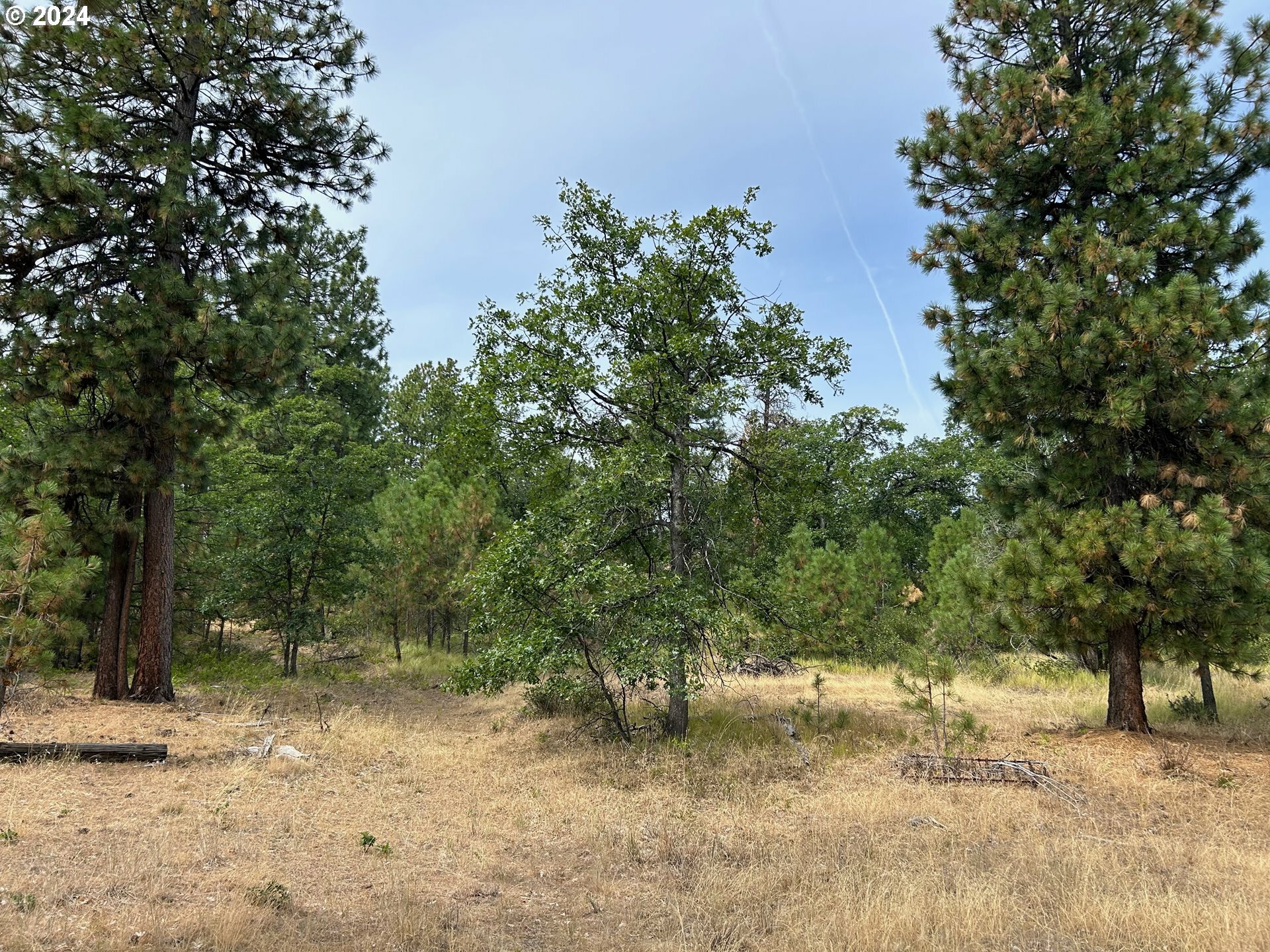 Property Photo:  Timber Dr  WA 99322 