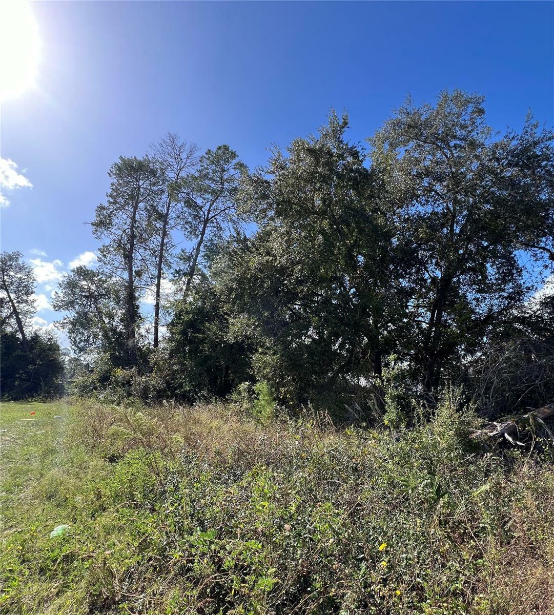 Property Photo:  Tbd SW 27th Terrace Road  FL 34473 