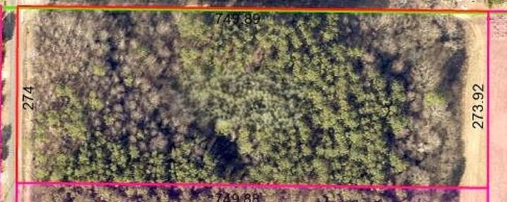 4.7 Acres Co Rd 1453  Vinemont AL 35179 - VINEMONT photo