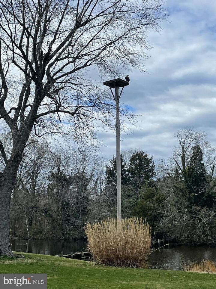 Property Photo: 1508 Hambrooks Boulevard MD 21613